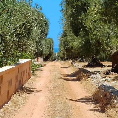 Vakantiehuis Trullo & Lamia Meraki