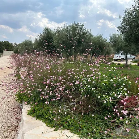 Trullo & Lamia Meraki בית נופש אוסטוני